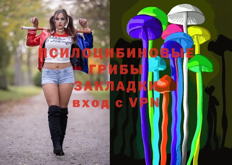 Псилоцибиновые грибы MAGIC MUSHROOMS  где купить наркоту  Междуреченск 